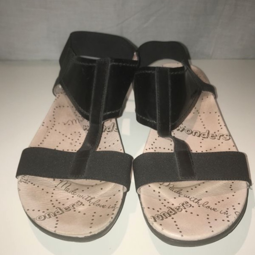 Black Wonders Sandler